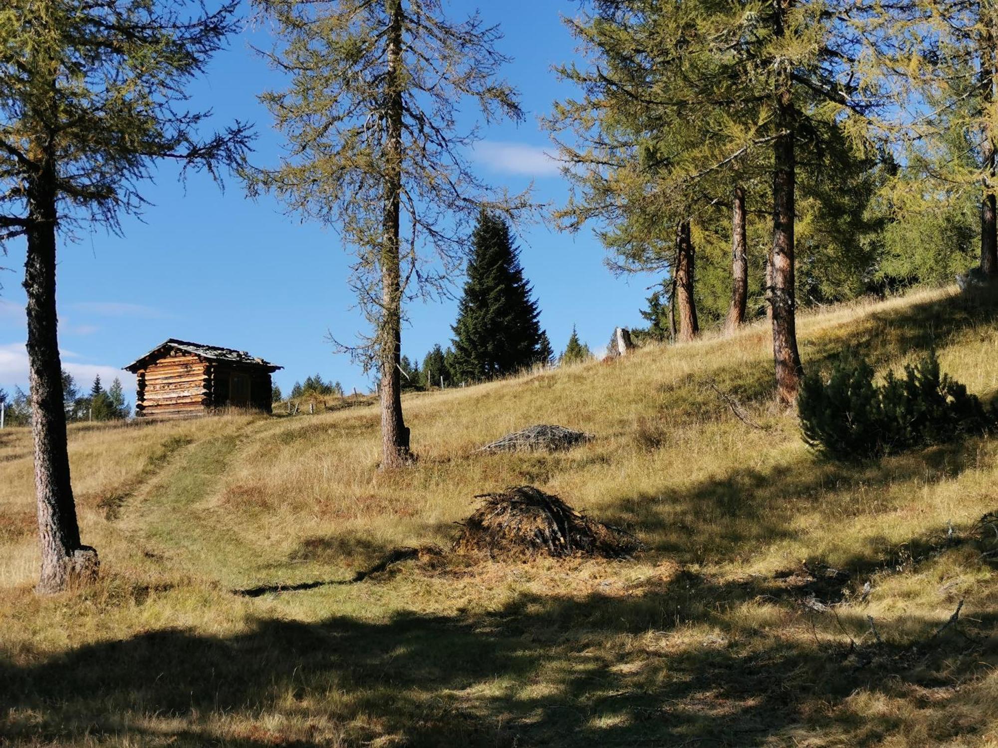 Das Wipferl - Dein Nest In Den Bergen Maria Luggau Exterior photo